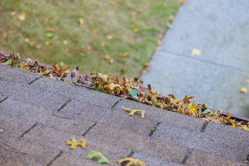 prevent water damage by keeping your gutters clean